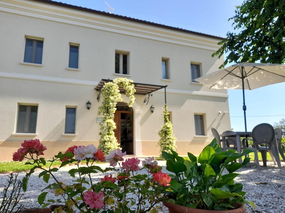 Villa Marietta Country House - Marche Montemaggiore al Metauro ภายนอก รูปภาพ